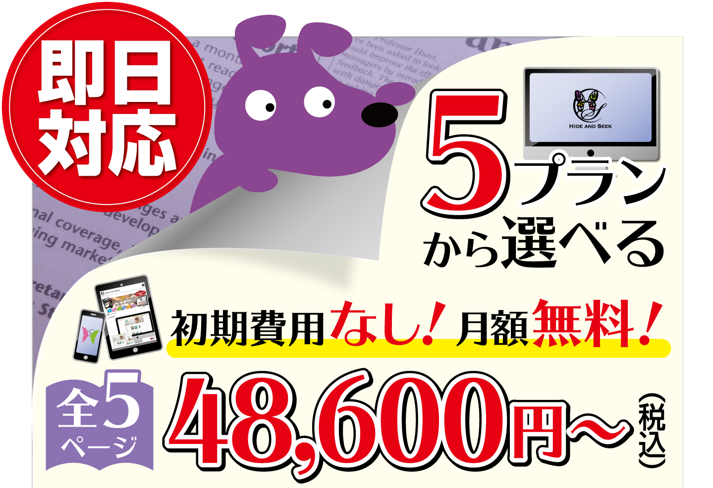 即日対応/初期費用なし/月額無料/全5ページ48600円（税込み）～